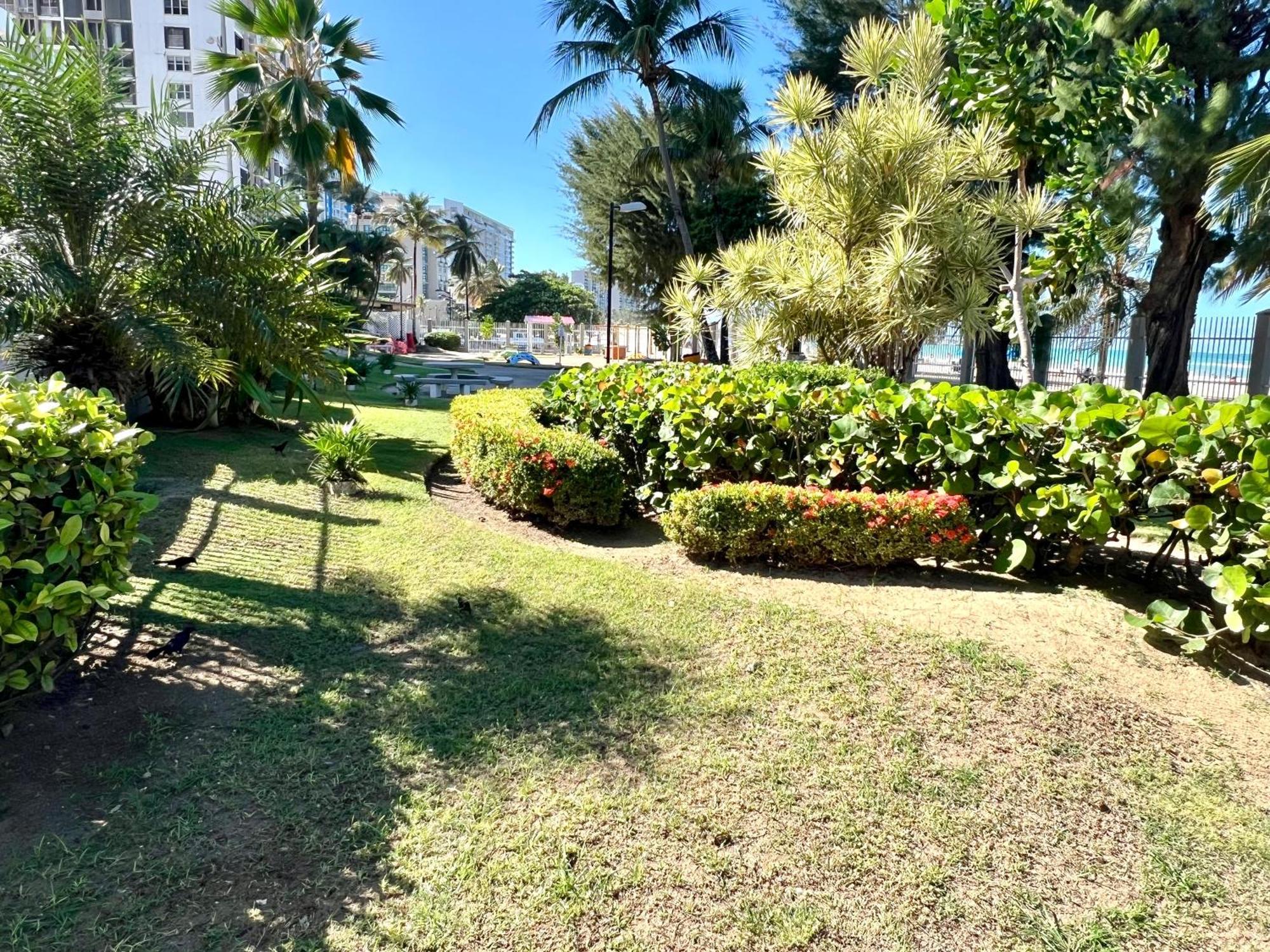 Ocean View Apt On Isla Verde In A 14Th Floor San Juan Dış mekan fotoğraf